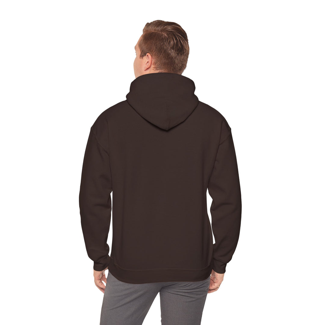 Samurai Cat Sunset Hoodie