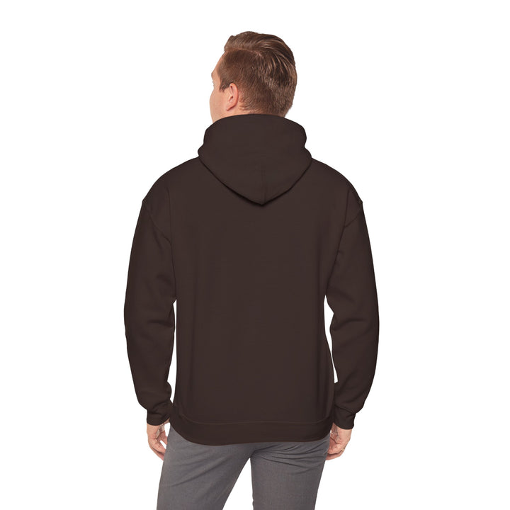 Samurai Cat Sunset Hoodie