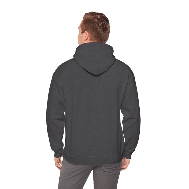 Samurai Cat Sunset Hoodie