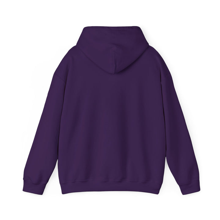 Samurai Cat Sunset Hoodie