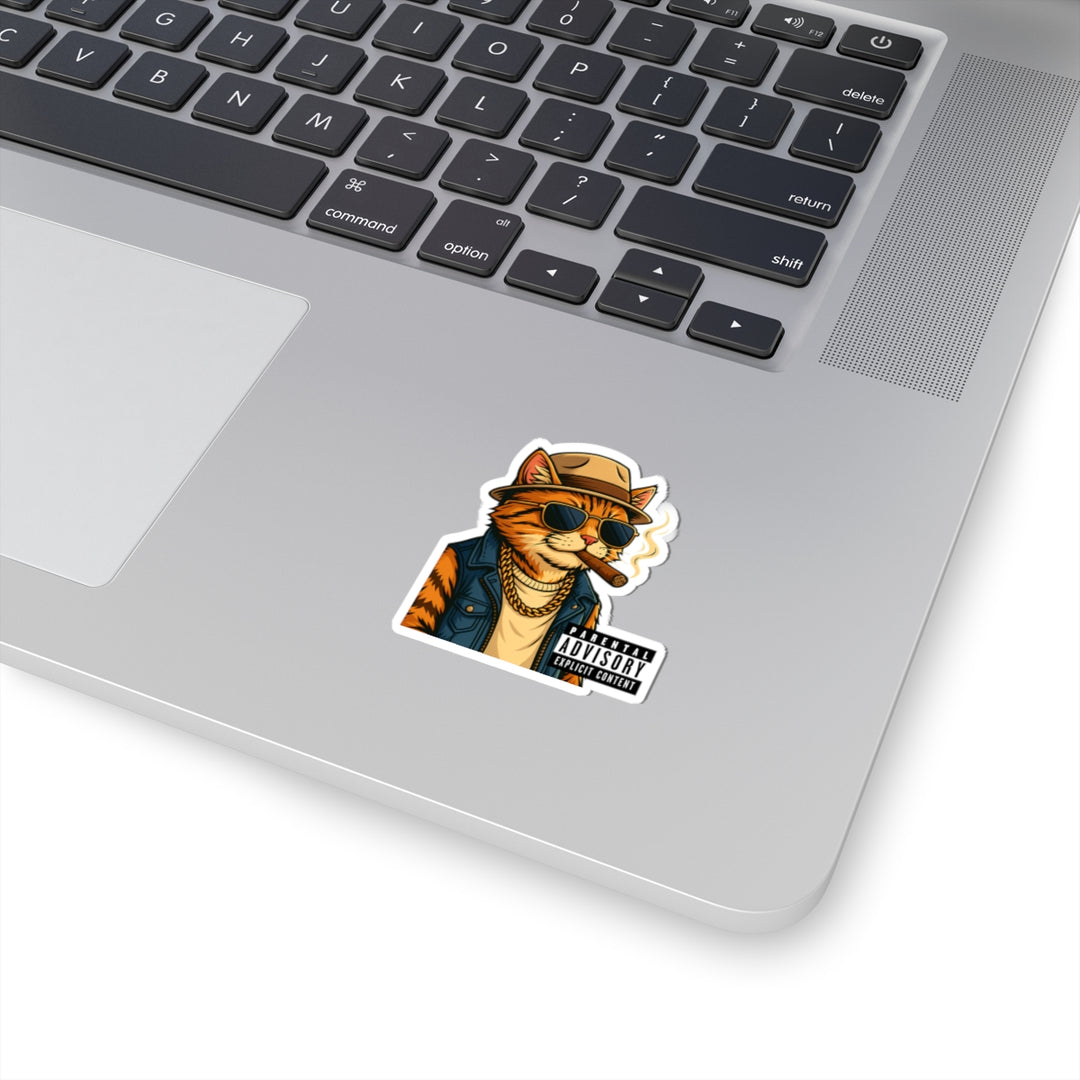 Cool Cat Kiss-Cut Stickers | Funky Cat Art for Laptop, Water Bottle, Notebooks, Parental Advisory Fun