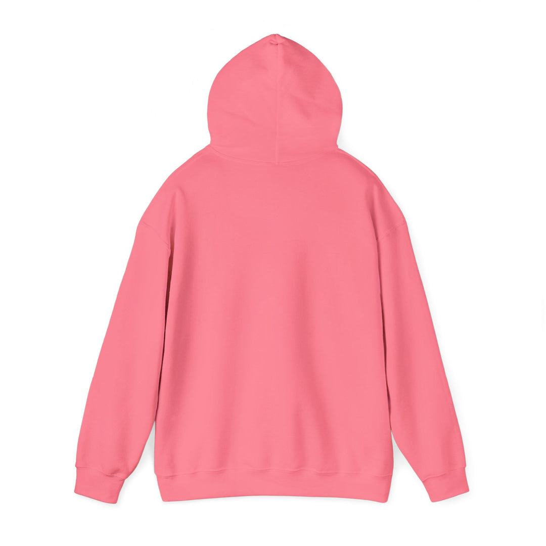 Samurai Cat Sunset Hoodie
