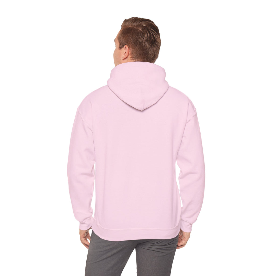 Samurai Cat Sunset Hoodie