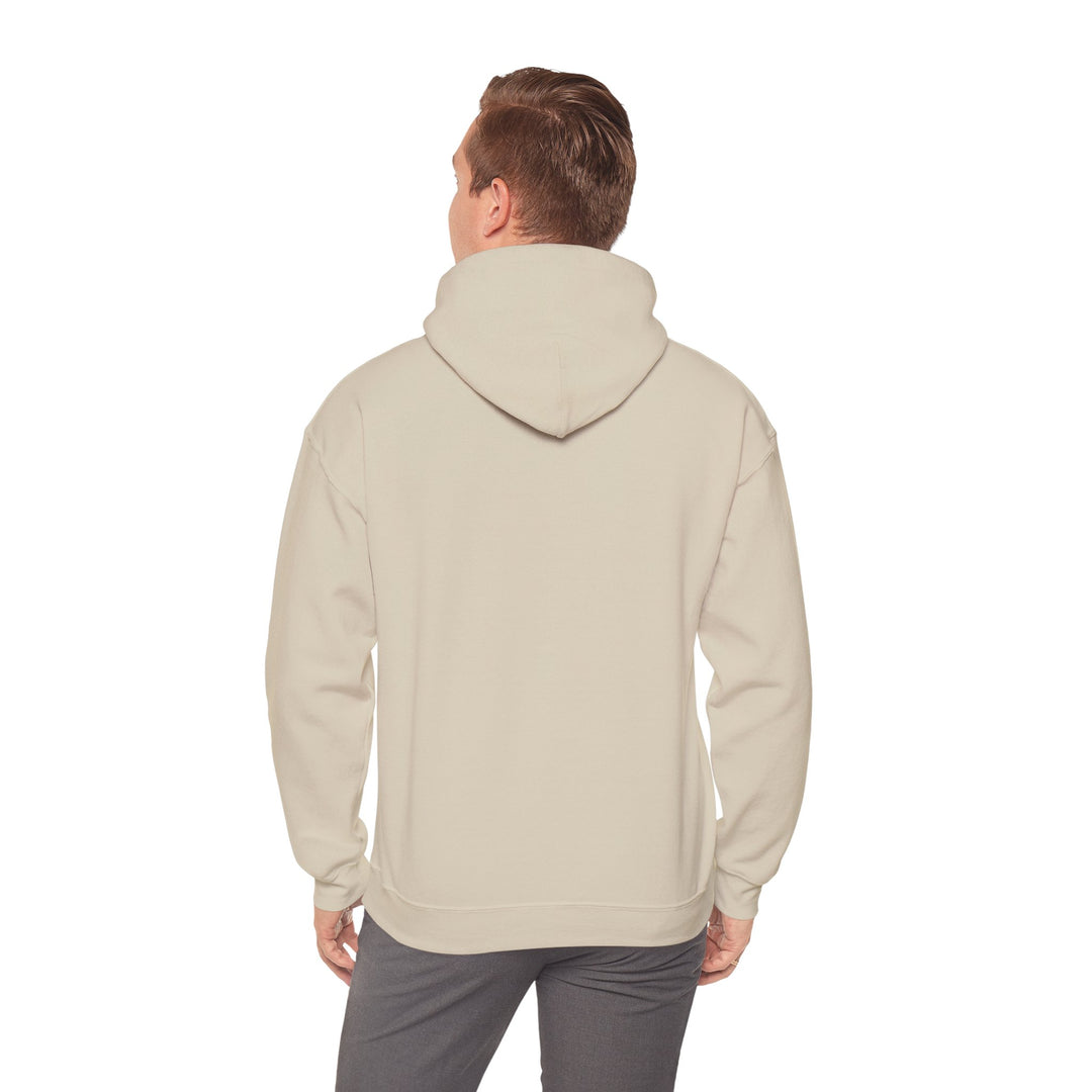 Samurai Cat Sunset Hoodie