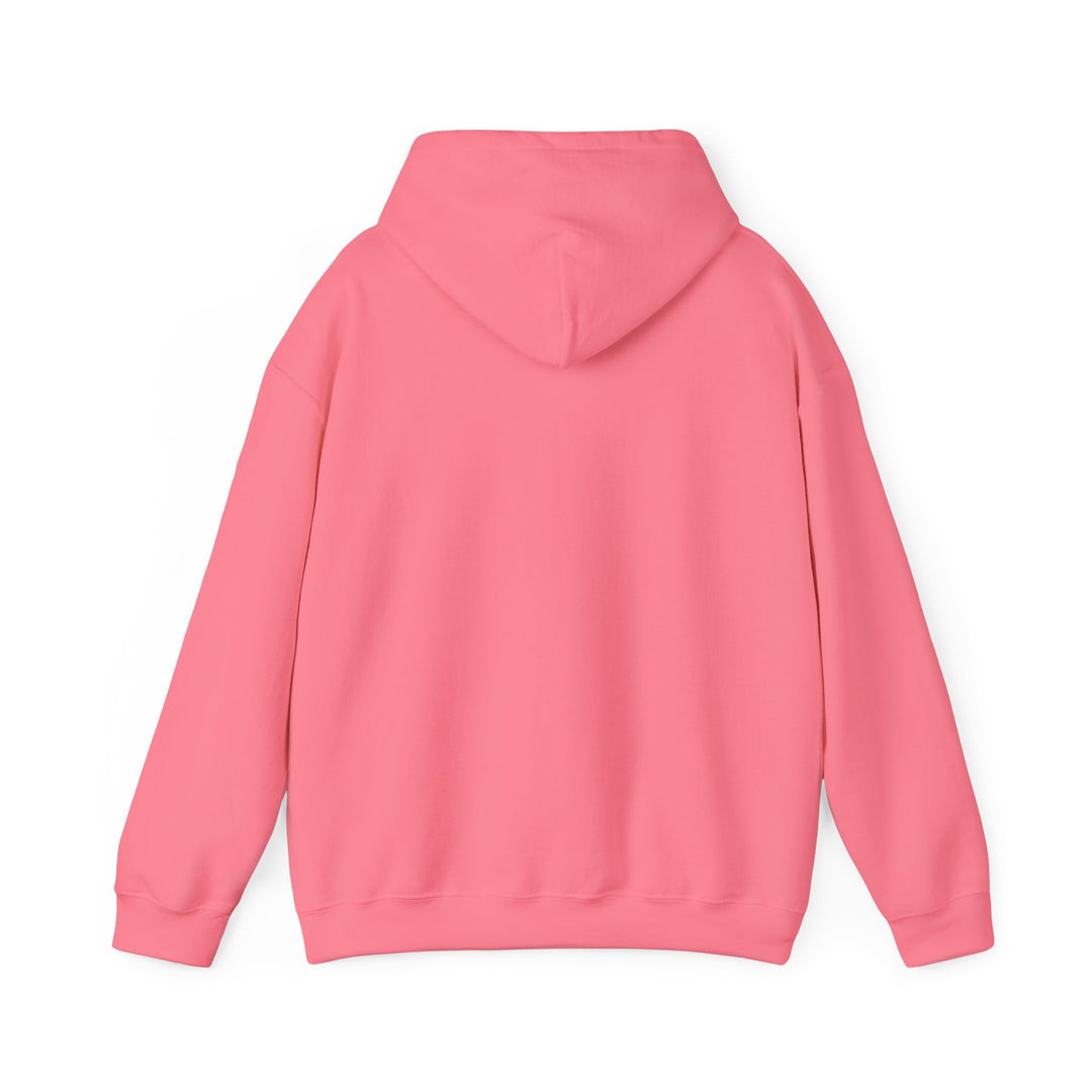 Samurai Cat Sunset Hoodie