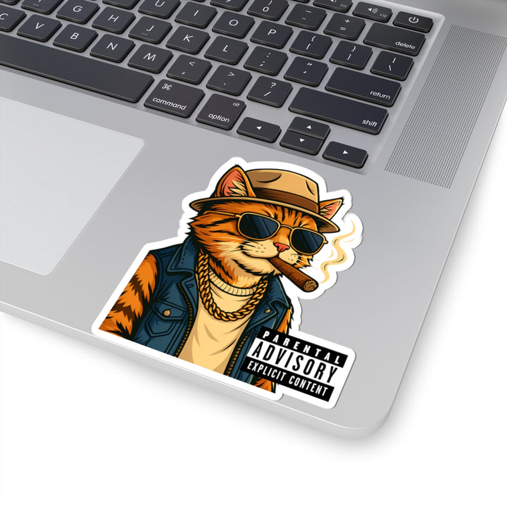 Cool Cat Kiss-Cut Stickers | Funky Cat Art for Laptop, Water Bottle, Notebooks, Parental Advisory Fun