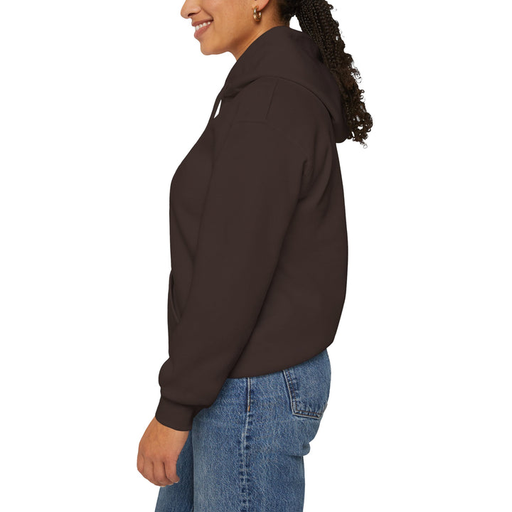 Samurai Cat Sunset Hoodie