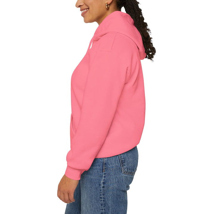 Samurai Cat Sunset Hoodie